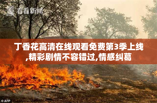 丁香花高清在线观看免费第3季上线,精彩剧情不容错过,情感纠葛