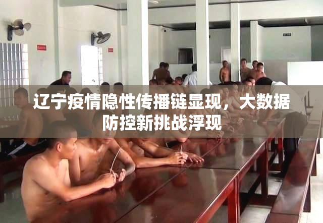 辽宁疫情隐性传播链显现，大数据防控新挑战浮现
