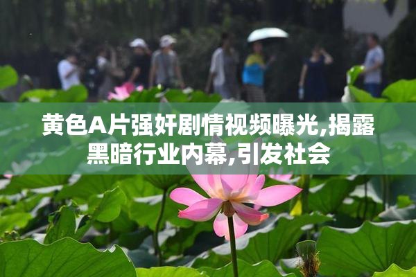 黄色A片强奸剧情视频曝光,揭露黑暗行业内幕,引发社会