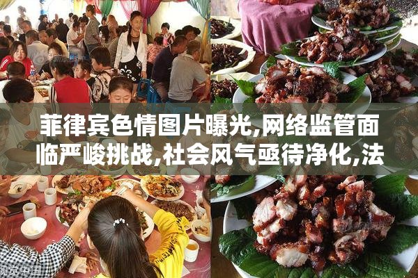 菲律宾色情图片曝光,网络监管面临严峻挑战,社会风气亟待净化,法律