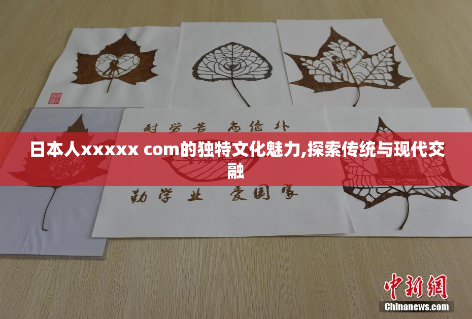 日本人xxxxx com的独特文化魅力,探索传统与现代交融
