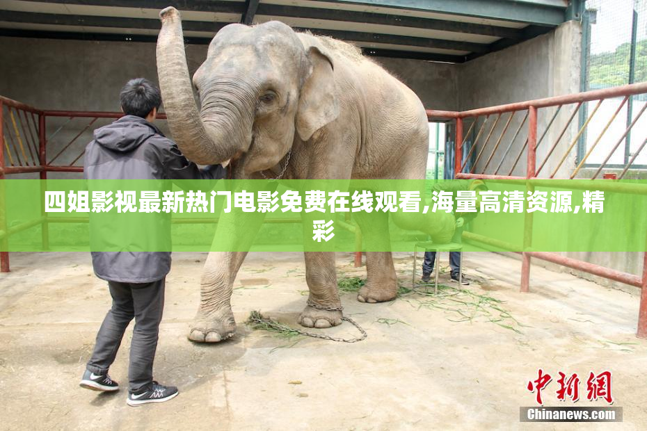 四姐影视最新热门电影免费在线观看,海量高清资源,精彩