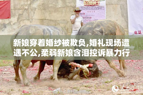 新娘穿着婚纱被欺负,婚礼现场遭遇不公,柔弱新娘含泪控诉暴力行为