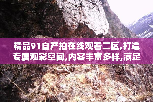 精品91自产拍在线观看二区,打造专属观影空间,内容丰富多样,满足你