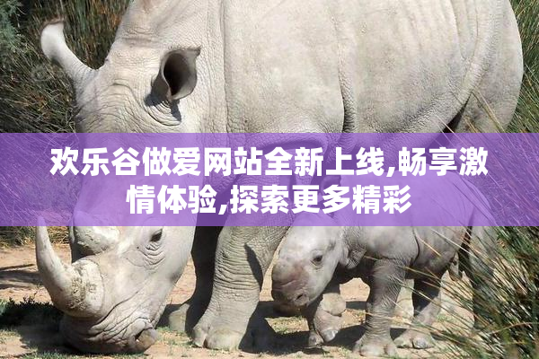 欢乐谷做爱网站全新上线,畅享激情体验,探索更多精彩