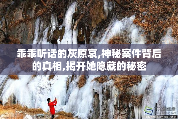 乖乖听话的灰原哀,神秘案件背后的真相,揭开她隐藏的秘密