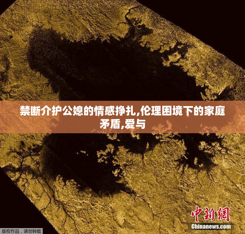 禁断介护公媳的情感挣扎,伦理困境下的家庭矛盾,爱与