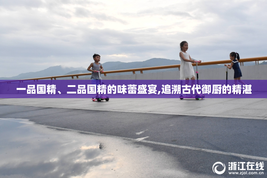 一品国精、二品国精的味蕾盛宴,追溯古代御厨的精湛