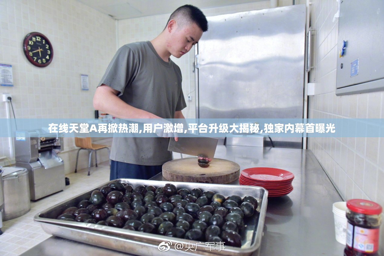 在线天堂A再掀热潮,用户激增,平台升级大揭秘,独家内幕首曝光