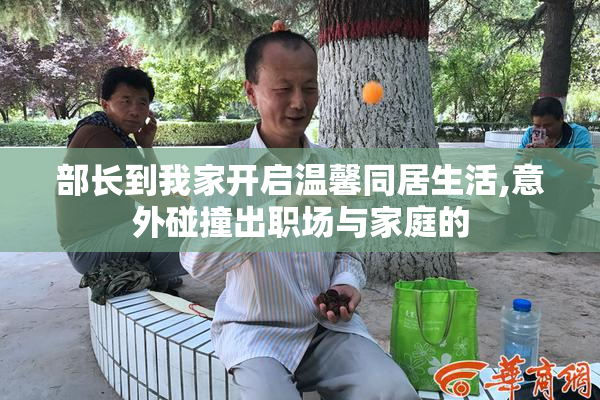 部长到我家开启温馨同居生活,意外碰撞出职场与家庭的