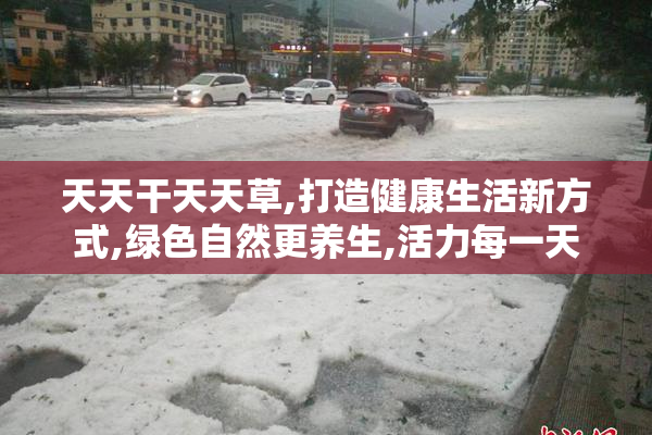 天天干天天草,打造健康生活新方式,绿色自然更养生,活力每一天