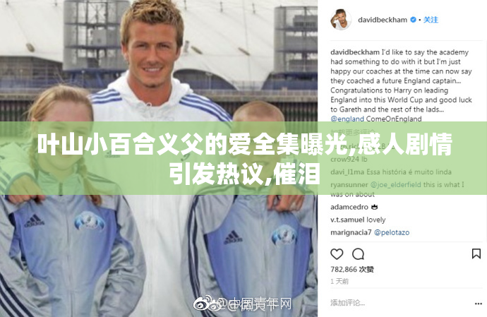 叶山小百合义父的爱全集曝光,感人剧情引发热议,催泪