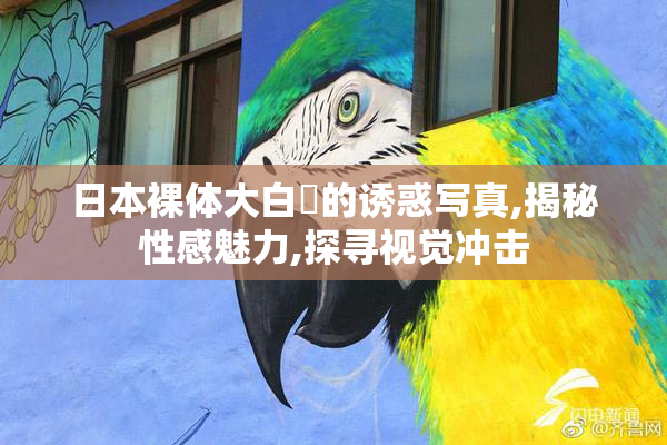 日本裸体大白屄的诱惑写真,揭秘性感魅力,探寻视觉冲击