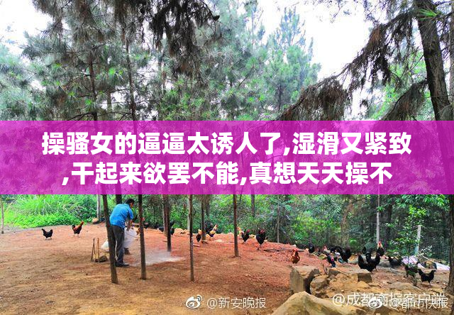 操骚女的逼逼太诱人了,湿滑又紧致,干起来欲罢不能,真想天天操不