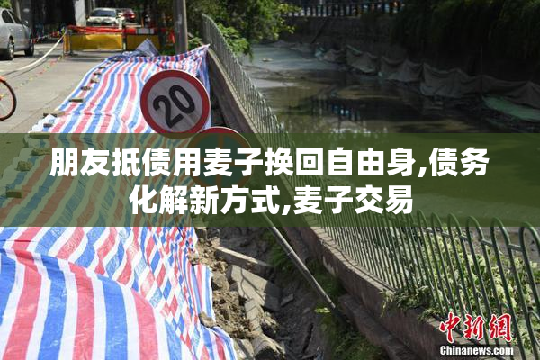 朋友抵债用麦子换回自由身,债务化解新方式,麦子交易