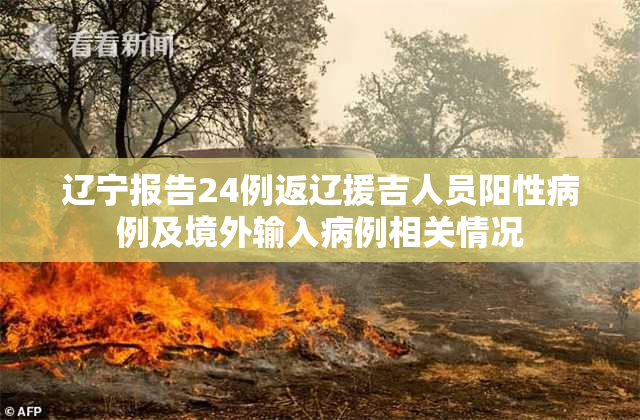 辽宁报告24例返辽援吉人员阳性病例及境外输入病例相关情况