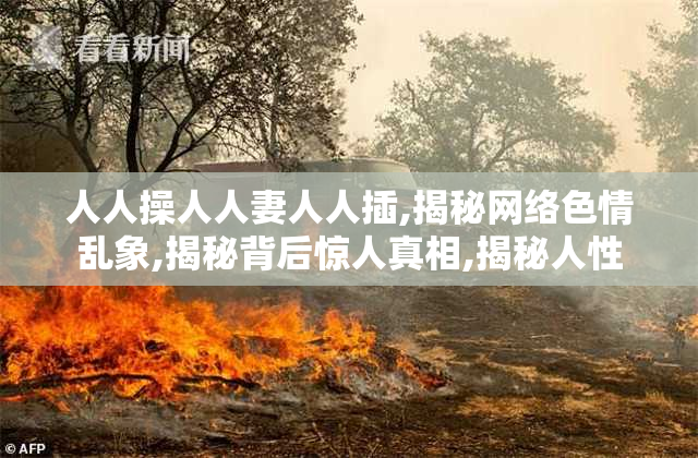 人人操人人妻人人插,揭秘网络色情乱象,揭秘背后惊人真相,揭秘人性