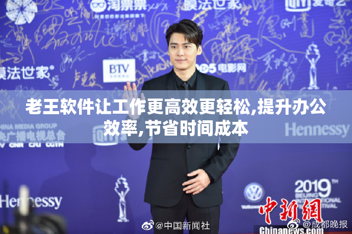老王软件让工作更高效更轻松,提升办公效率,节省时间成本