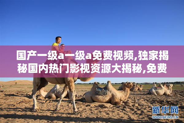 国产一级a一级a免费视频,独家揭秘国内热门影视资源大揭秘,免费