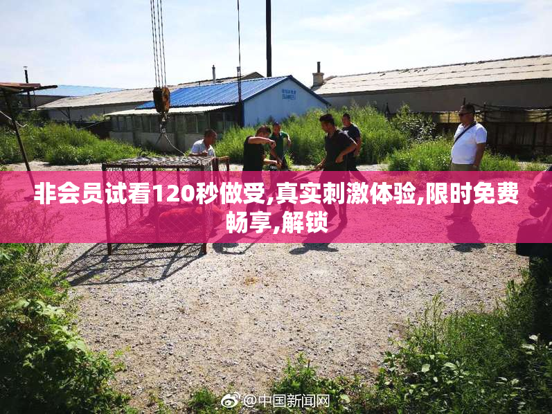 非会员试看120秒做受,真实刺激体验,限时免费畅享,解锁