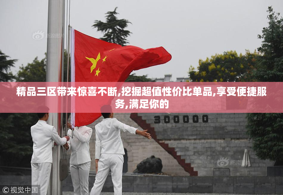 精品三区带来惊喜不断,挖掘超值性价比单品,享受便捷服务,满足你的