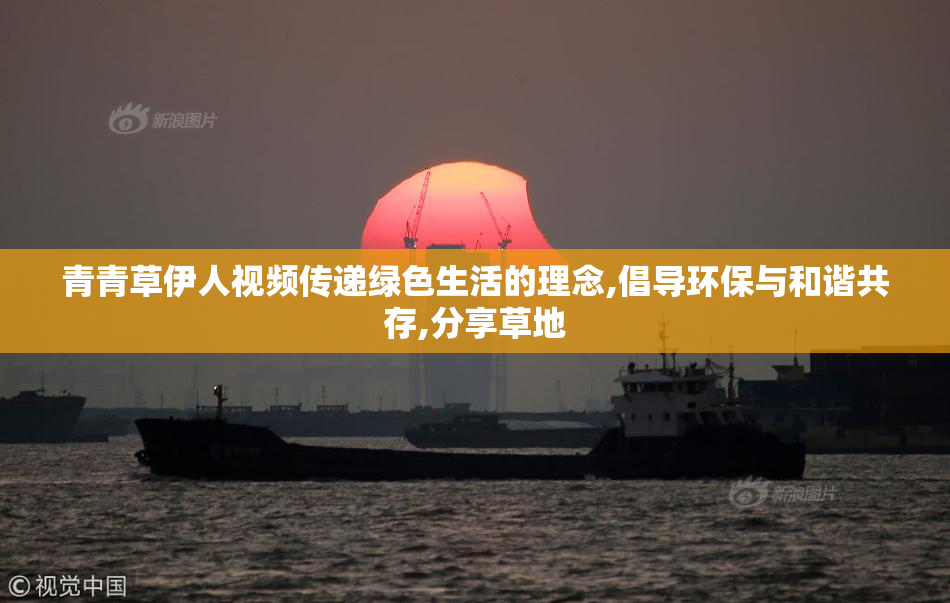 青青草伊人视频传递绿色生活的理念,倡导环保与和谐共存,分享草地