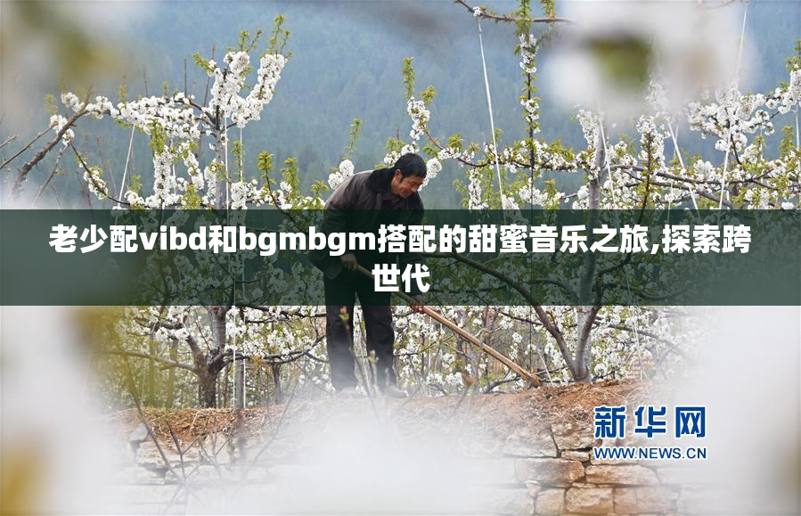 老少配vibd和bgmbgm搭配的甜蜜音乐之旅,探索跨世代
