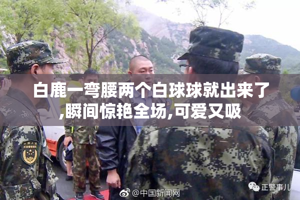 白鹿一弯腰两个白球球就出来了,瞬间惊艳全场,可爱又吸