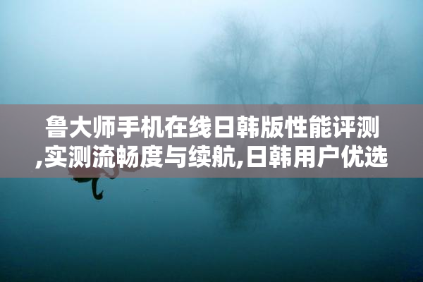 鲁大师手机在线日韩版性能评测,实测流畅度与续航,日韩用户优选