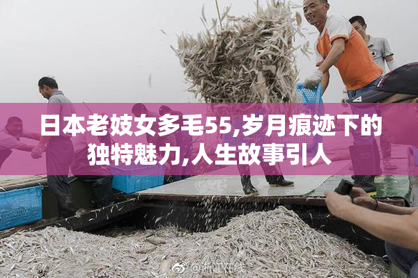 日本老妓女多毛55,岁月痕迹下的独特魅力,人生故事引人