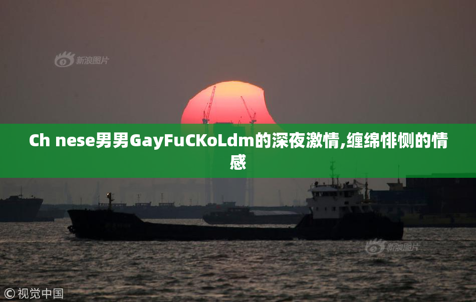 Ch nese男男GayFuCKoLdm的深夜激情,缠绵悱恻的情感