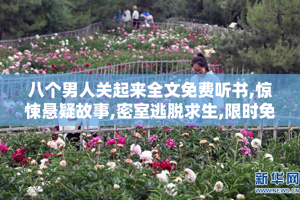 八个男人关起来全文免费听书,惊悚悬疑故事,密室逃脱求生,限时免费