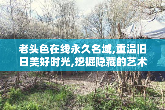 老头色在线永久名域,重温旧日美好时光,挖掘隐藏的艺术之美,享受