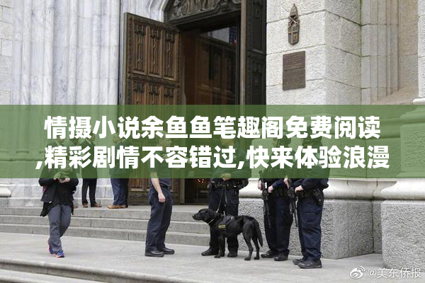 情摄小说余鱼鱼笔趣阁免费阅读,精彩剧情不容错过,快来体验浪漫
