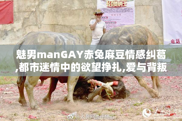 魅男manGAY赤兔麻豆情感纠葛,都市迷情中的欲望挣扎,爱与背叛的