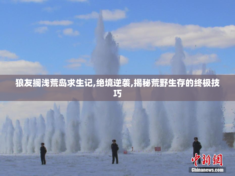 狼友搁浅荒岛求生记,绝境逆袭,揭秘荒野生存的终极技巧