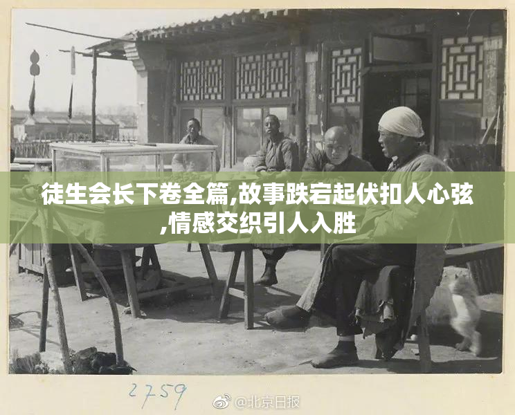 徒生会长下卷全篇,故事跌宕起伏扣人心弦,情感交织引人入胜
