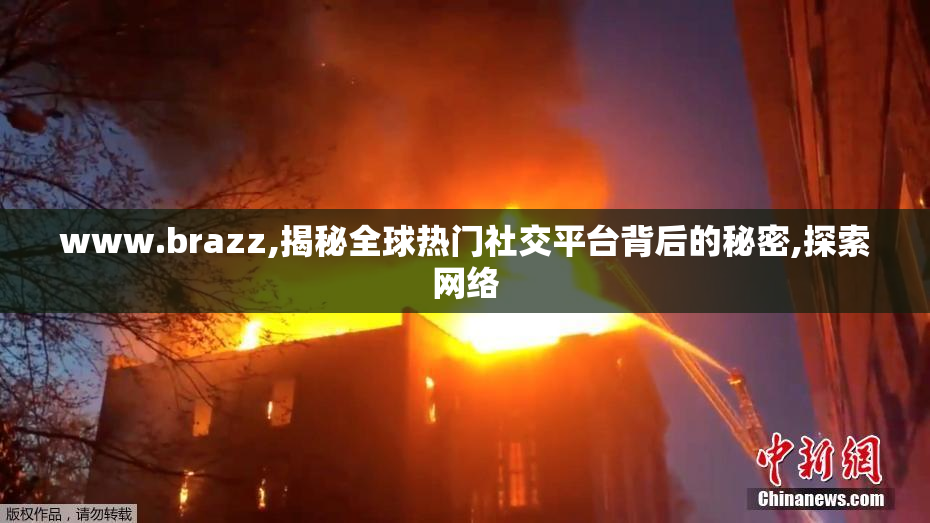 www.brazz,揭秘全球热门社交平台背后的秘密,探索网络
