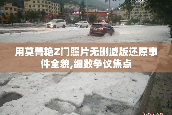 用莫菁艳Z门照片无删减版还原事件全貌,细数争议焦点