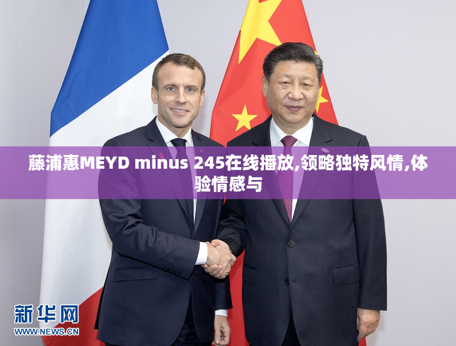 藤浦惠MEYD minus 245在线播放,领略独特风情,体验情感与