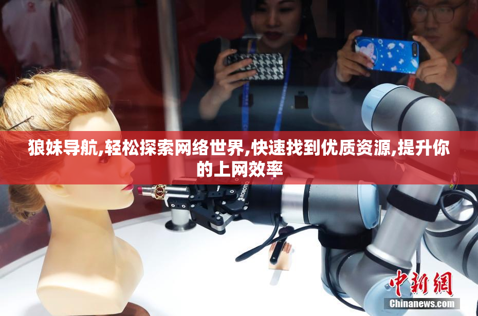 狼妹导航,轻松探索网络世界,快速找到优质资源,提升你的上网效率