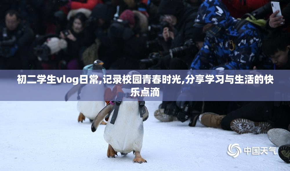 初二学生vlog日常,记录校园青春时光,分享学习与生活的快乐点滴
