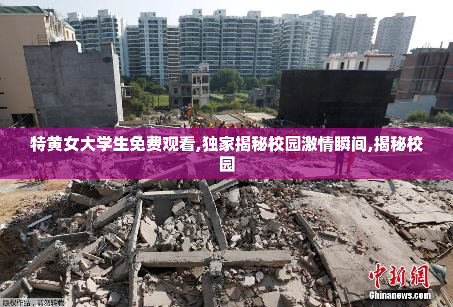 特黄女大学生免费观看,独家揭秘校园激情瞬间,揭秘校园