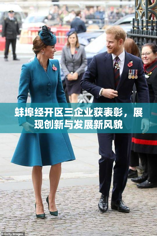 蚌埠经开区三企业获表彰，展现创新与发展新风貌