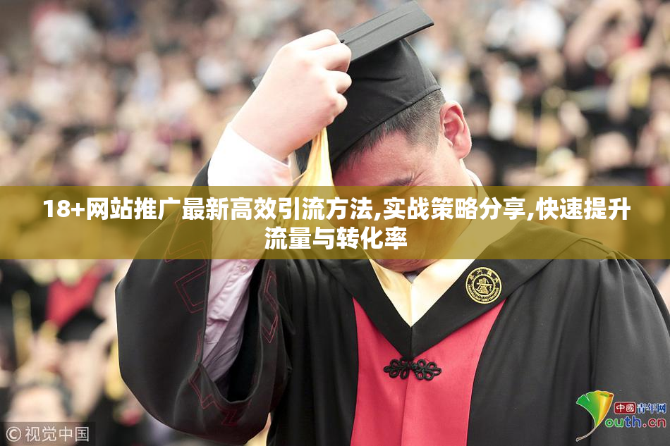 18+网站推广最新高效引流方法,实战策略分享,快速提升流量与转化率