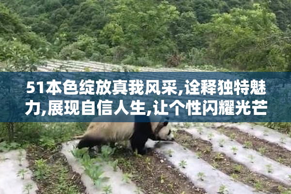 51本色绽放真我风采,诠释独特魅力,展现自信人生,让个性闪耀光芒