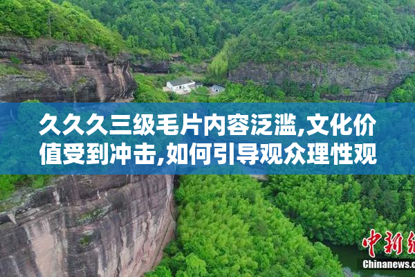 久久久三级毛片内容泛滥,文化价值受到冲击,如何引导观众理性观看