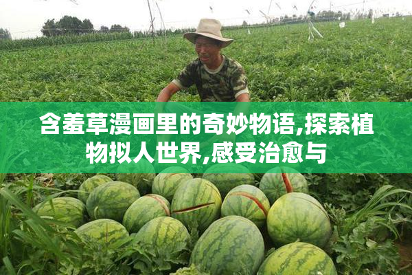 含羞草漫画里的奇妙物语,探索植物拟人世界,感受治愈与