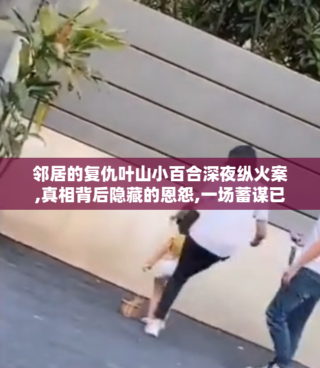 邻居的复仇叶山小百合深夜纵火案,真相背后隐藏的恩怨,一场蓄谋已