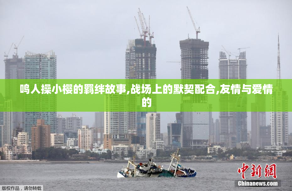 鸣人操小樱的羁绊故事,战场上的默契配合,友情与爱情的